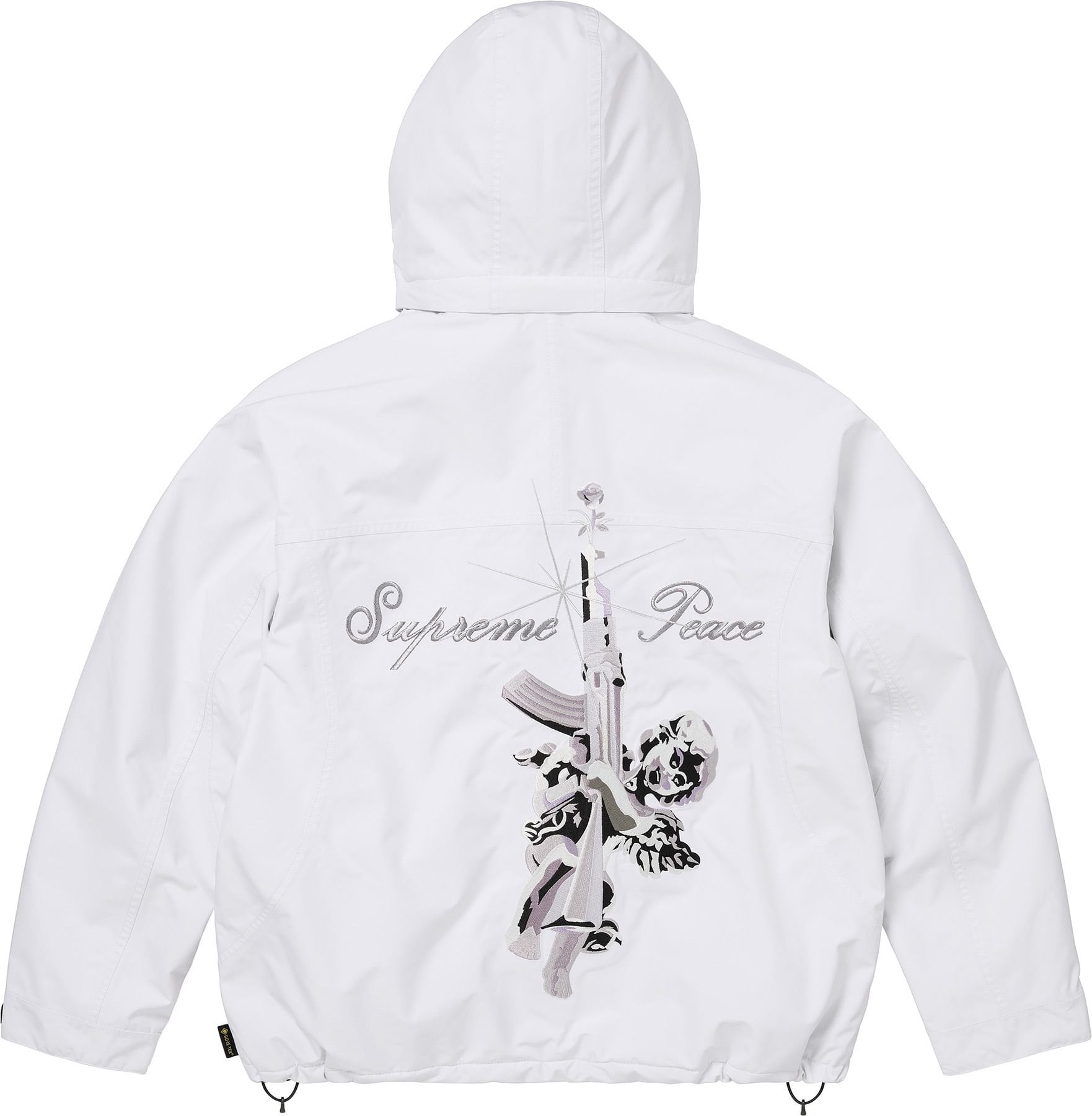 AOI GORE-TEX Hooded Jacket view 14